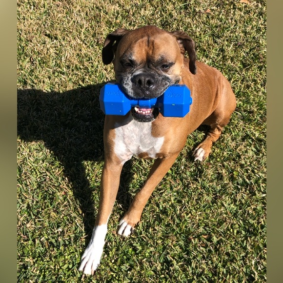 OVER 5LBS ADDITIONAL CHARGE. - Picture 4 of 9